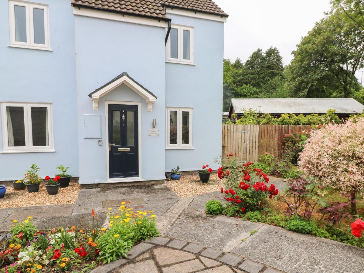 Mews Cottage Кармартен Экстерьер фото